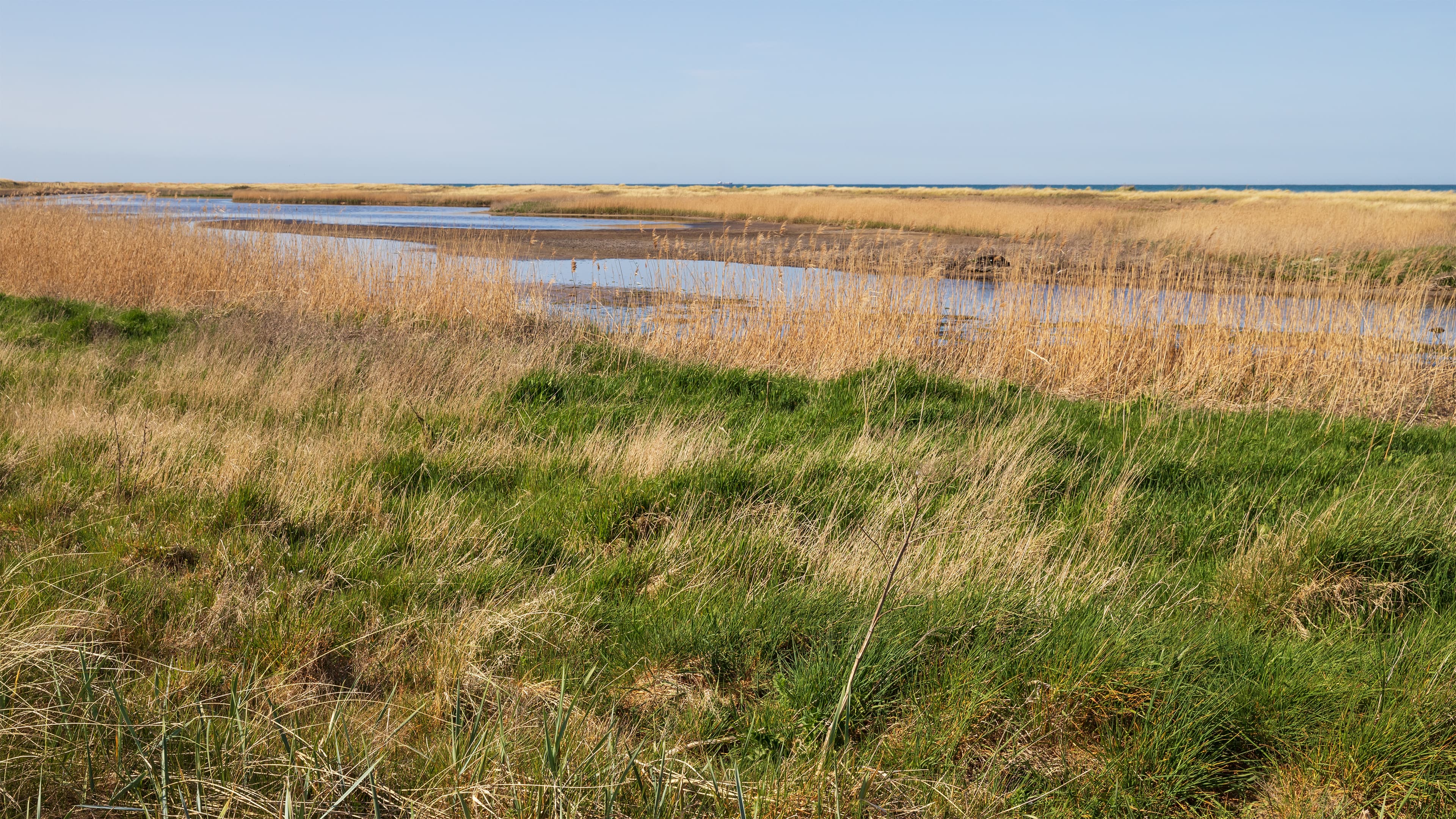 Coastal landscape in the Grüner Brink nature reserve on Fehmarn